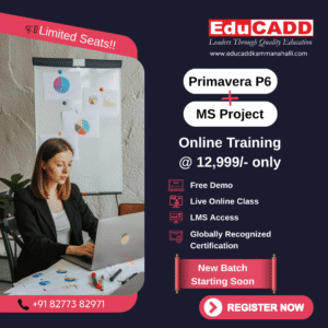 Primavera P6 & Microsoft Project Online Training